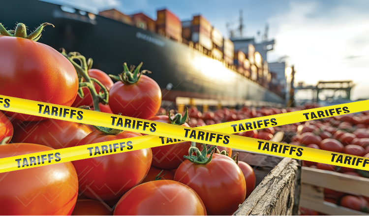 Trump 2.0 Week 26 In Review: Discussing The Indonesia Trade Deal, The 17% Duty on Mexican Tomatoes, and The Impending Pharma & Chip Tariffs